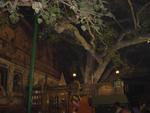 The Great Banyan Tree